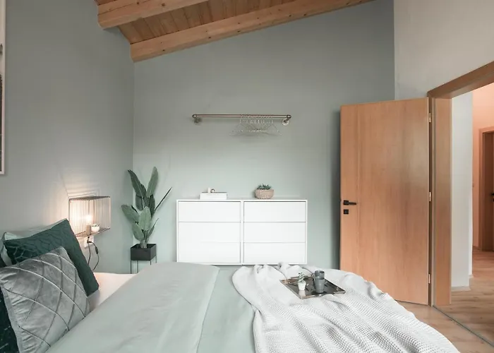 Home@moos 普范德斯