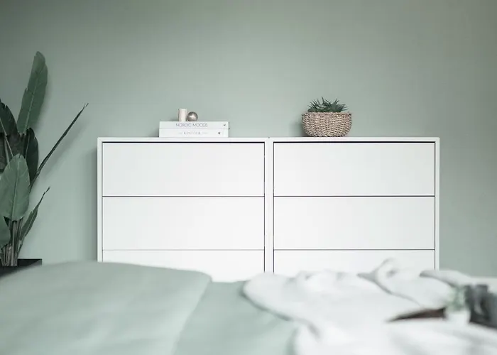 Home@moos 普范德斯